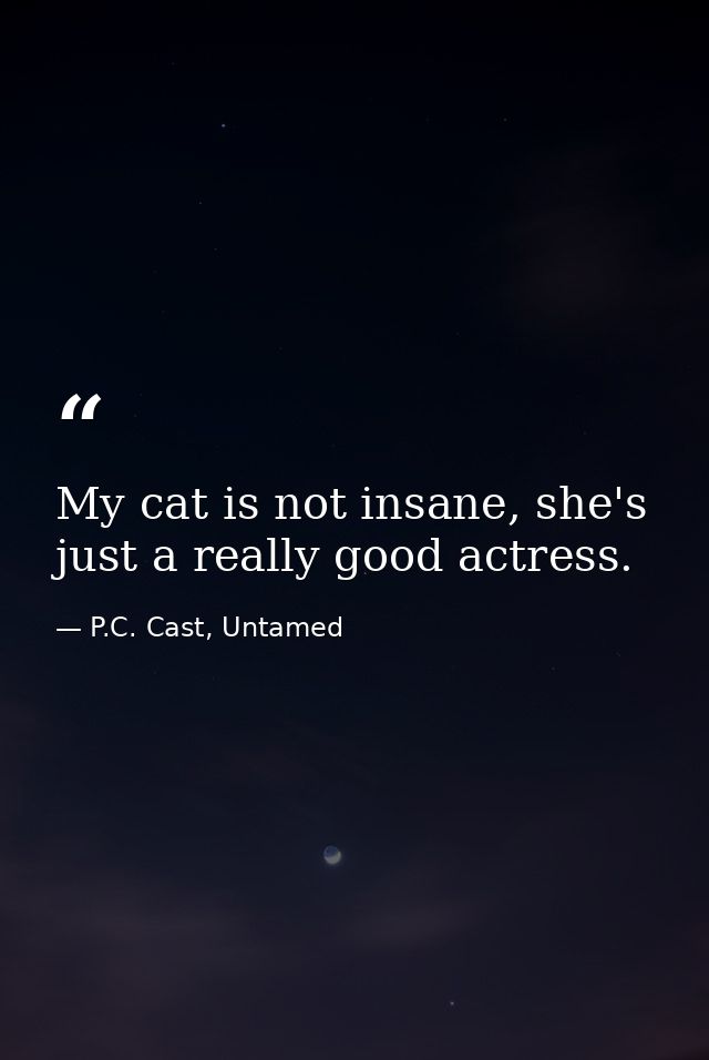 My cat is not insane, she's just a really good actress. — P.C. Cast, Untamed