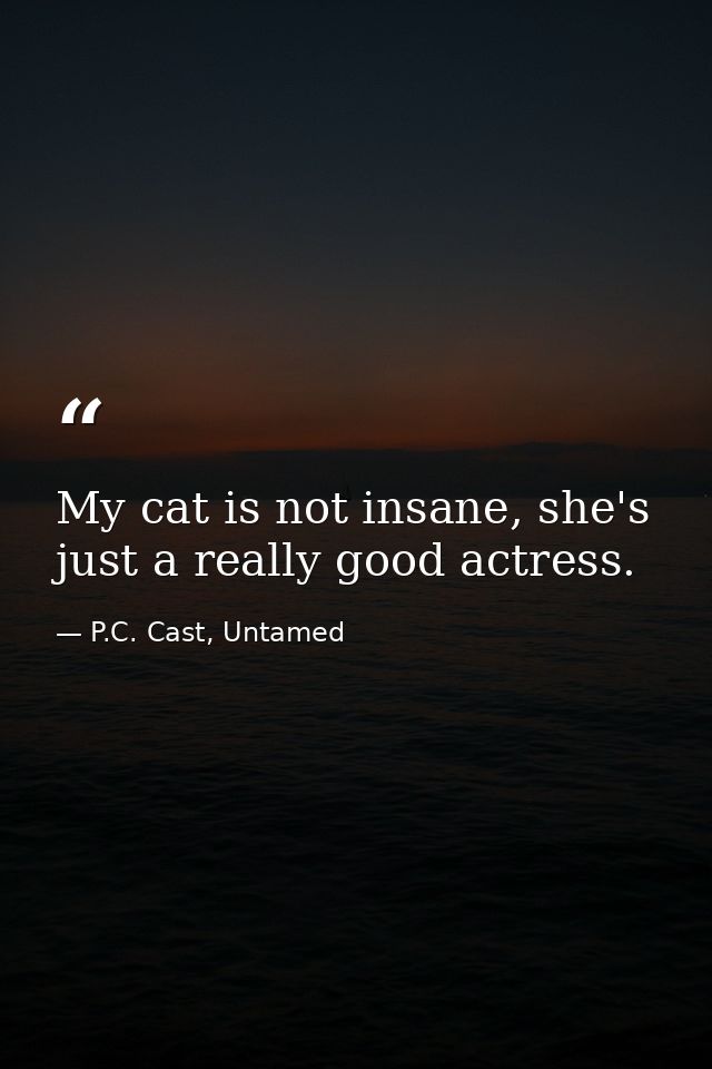 My cat is not insane, she's just a really good actress. — P.C. Cast, Untamed