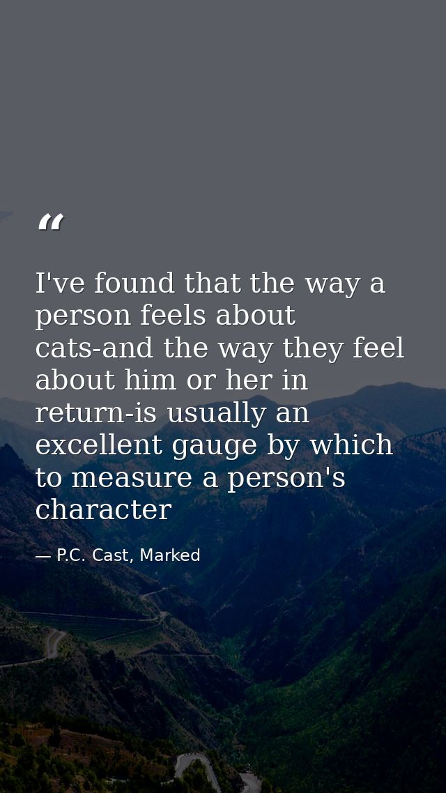 I've found that the way a person feels about cats-and the way they feel about him or her in return-is usually an excelle — P.C. Cast, Marked