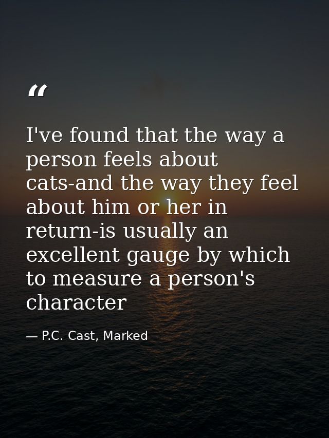 I've found that the way a person feels about cats-and the way they feel about him or her in return-is usually an excelle — P.C. Cast, Marked