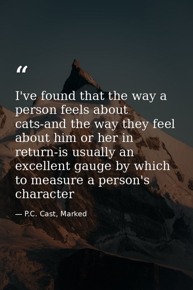 I've found that the way a person feels about cats-and the way they feel about him or her in return-is usually an excelle — P.C. Cast, Marked