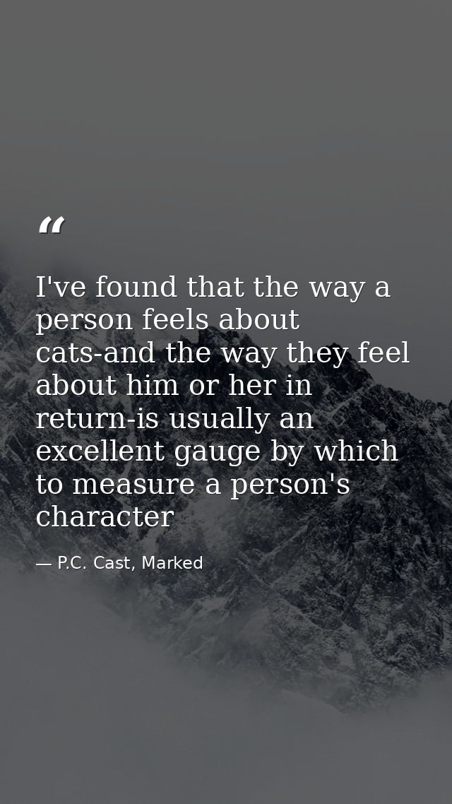 I've found that the way a person feels about cats-and the way they feel about him or her in return-is usually an excelle — P.C. Cast, Marked