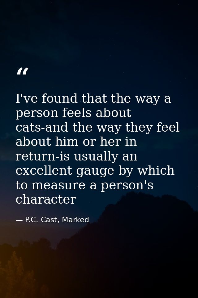 I've found that the way a person feels about cats-and the way they feel about him or her in return-is usually an excelle — P.C. Cast, Marked