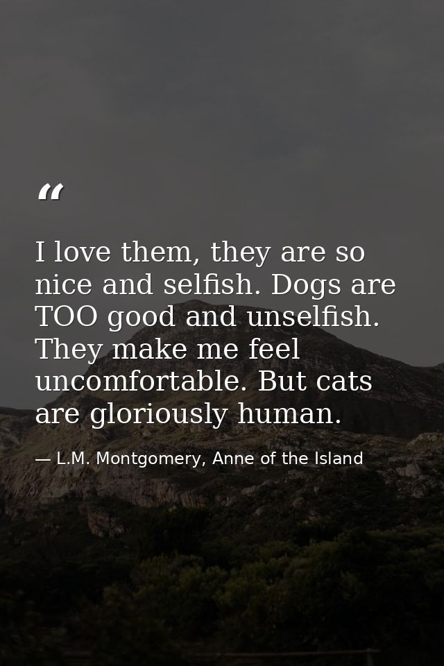 I love them, they are so nice and selfish. Dogs are TOO good and unselfish. They make me feel uncomfortable. But cats ar — L.M. Montgomery, Anne of the Island