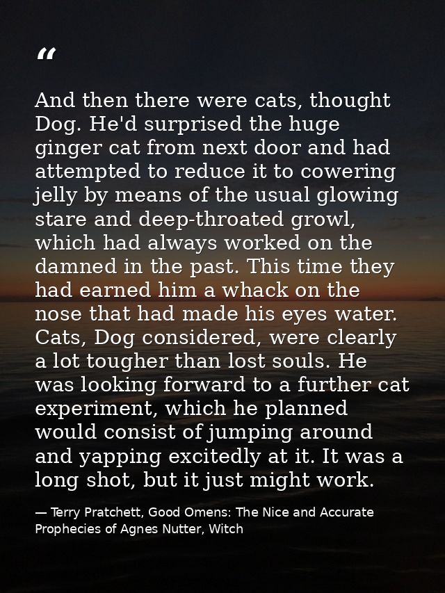 And then there were cats, thought Dog. He'd surprised the huge ginger cat from next door and had attempted to reduce it  — Terry Pratchett, Good Omens: The Nice and Accurate Prophecies of Agnes Nutter, Witch