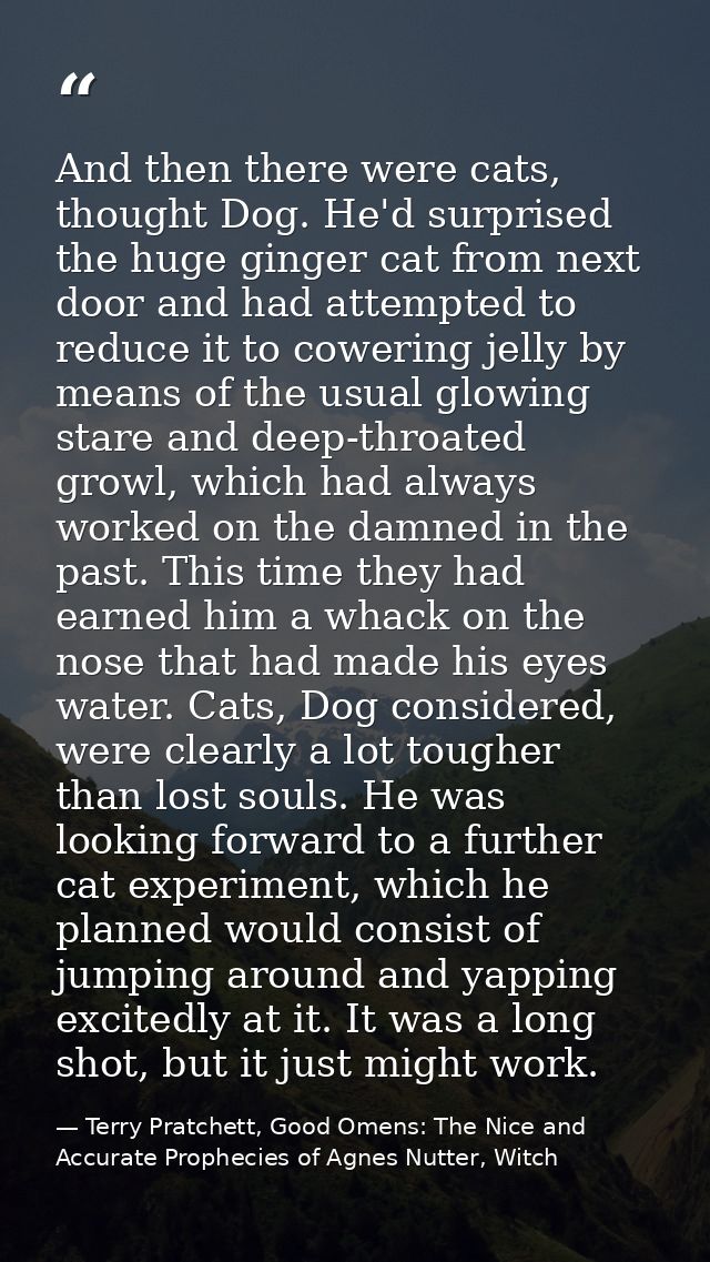 And then there were cats, thought Dog. He'd surprised the huge ginger cat from next door and had attempted to reduce it  — Terry Pratchett, Good Omens: The Nice and Accurate Prophecies of Agnes Nutter, Witch