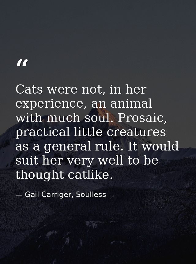 Cats were not, in her experience, an animal with much soul. Prosaic, practical little creatures as a general rule. It wo — Gail Carriger, Soulless