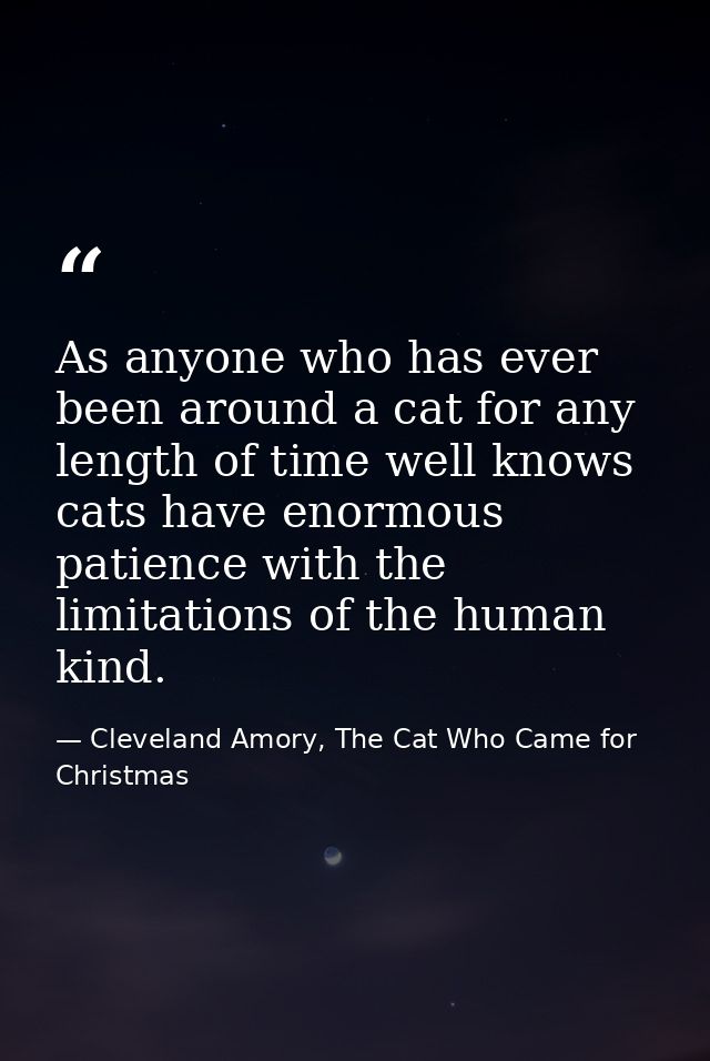As anyone who has ever been around a cat for any length of time well knows cats have enormous patience with the limitati — Cleveland Amory, The Cat Who Came for Christmas