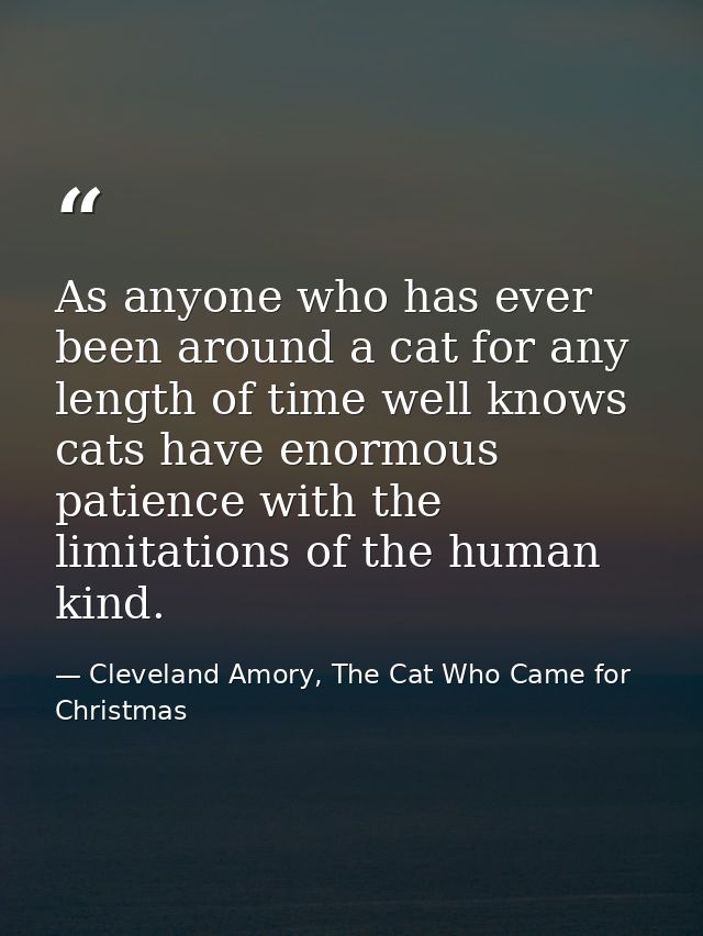 As anyone who has ever been around a cat for any length of time well knows cats have enormous patience with the limitati — Cleveland Amory, The Cat Who Came for Christmas
