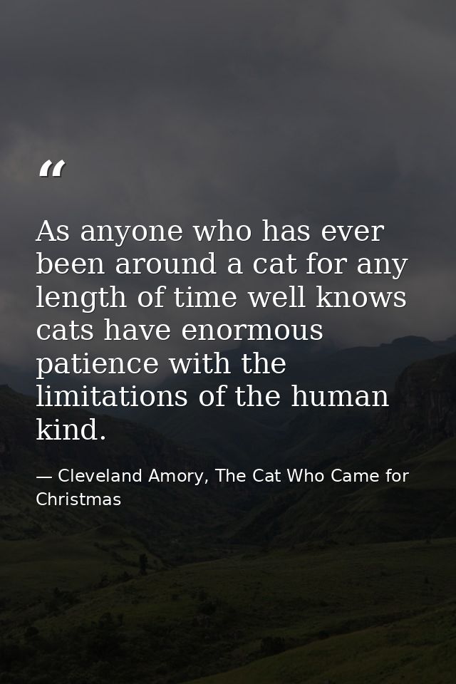 As anyone who has ever been around a cat for any length of time well knows cats have enormous patience with the limitati — Cleveland Amory, The Cat Who Came for Christmas