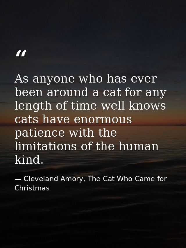 As anyone who has ever been around a cat for any length of time well knows cats have enormous patience with the limitati — Cleveland Amory, The Cat Who Came for Christmas