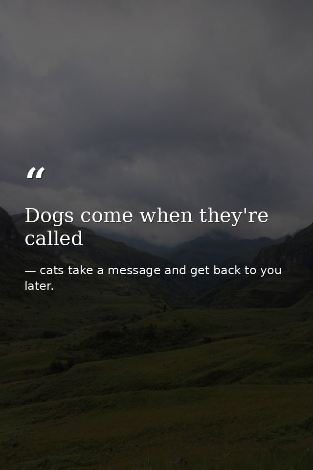 Dogs come when they're called — cats take a message and get back to you later.