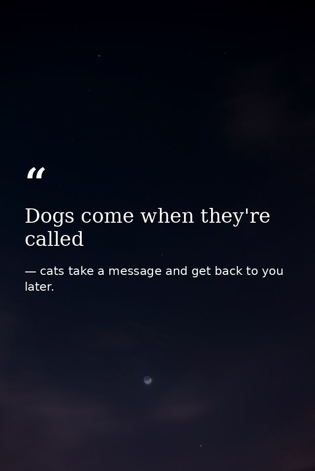 Dogs come when they're called — cats take a message and get back to you later.