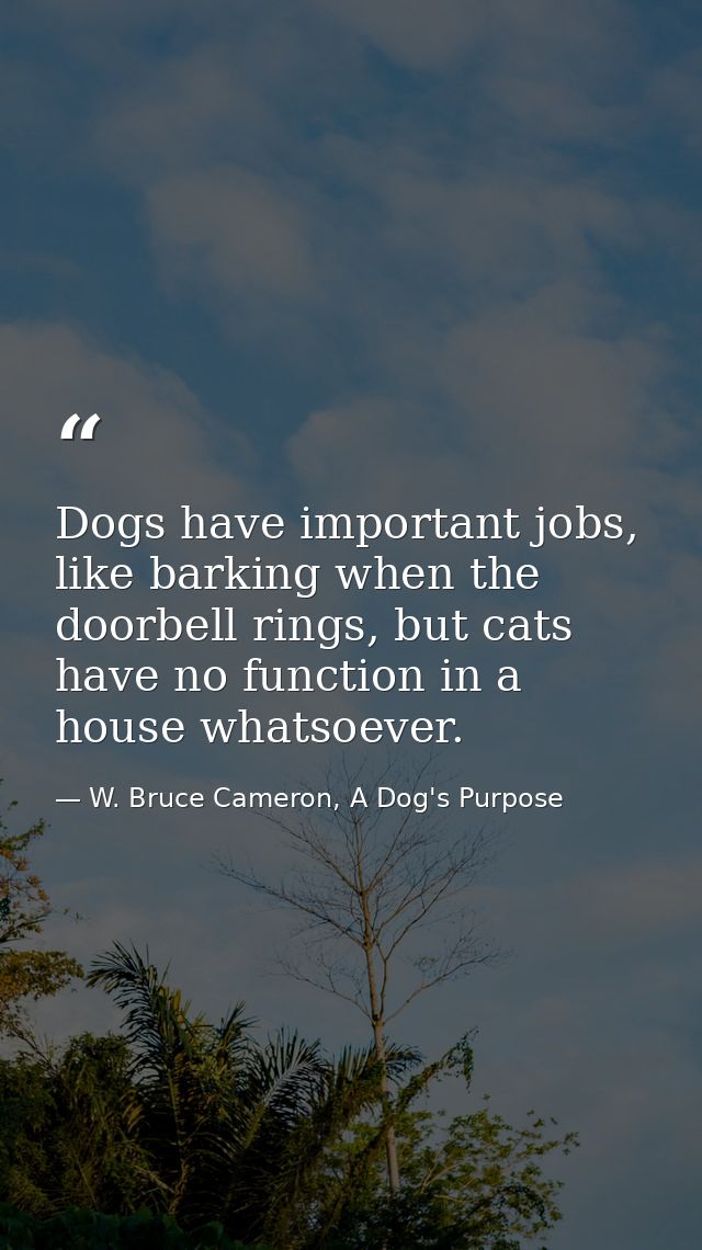Dogs have important jobs, like barking when the doorbell rings, but cats have no function in a house whatsoever. — W. Bruce Cameron, A Dog's Purpose