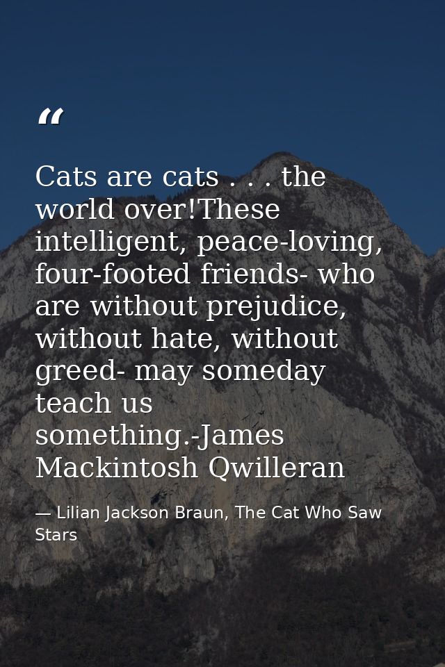 Cats are cats . . . the world over!These intelligent, peace-loving, four-footed friends- who are without prejudice, with — Lilian Jackson Braun, The Cat Who Saw Stars