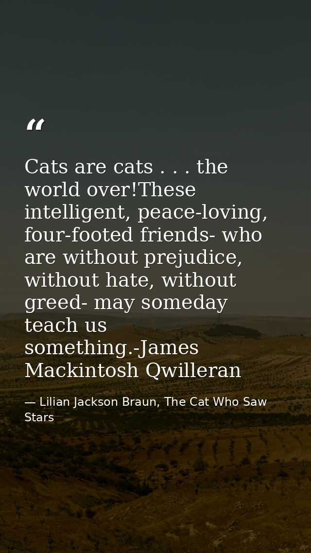 Cats are cats . . . the world over!These intelligent, peace-loving, four-footed friends- who are without prejudice, with — Lilian Jackson Braun, The Cat Who Saw Stars