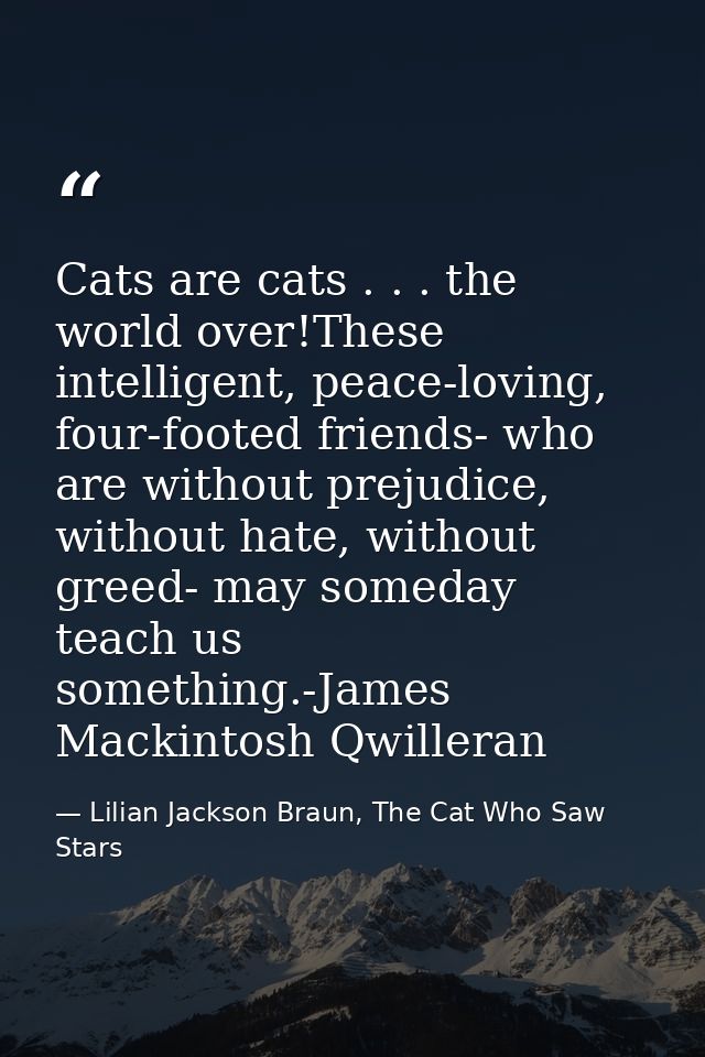 Cats are cats . . . the world over!These intelligent, peace-loving, four-footed friends- who are without prejudice, with — Lilian Jackson Braun, The Cat Who Saw Stars