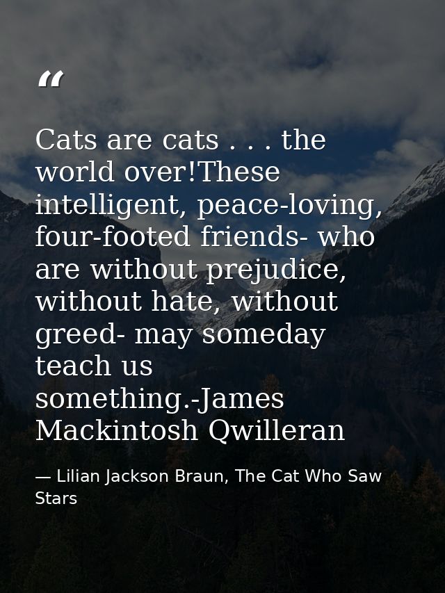 Cats are cats . . . the world over!These intelligent, peace-loving, four-footed friends- who are without prejudice, with — Lilian Jackson Braun, The Cat Who Saw Stars