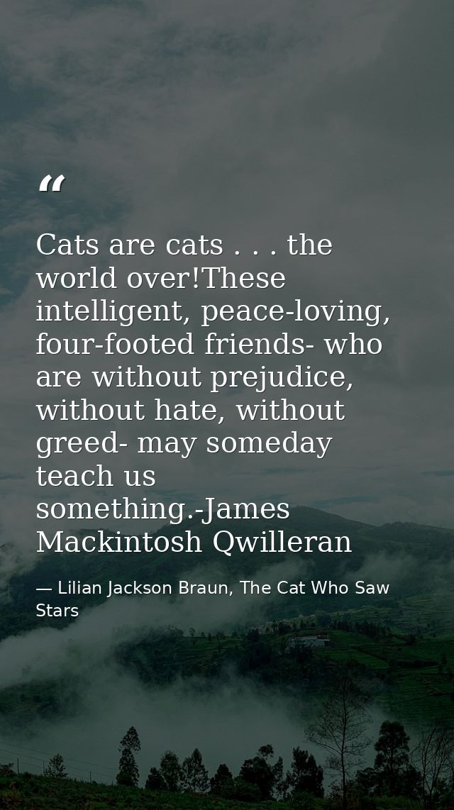 Cats are cats . . . the world over!These intelligent, peace-loving, four-footed friends- who are without prejudice, with — Lilian Jackson Braun, The Cat Who Saw Stars