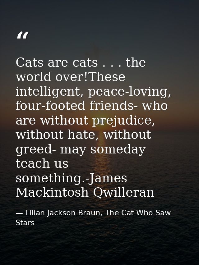 Cats are cats . . . the world over!These intelligent, peace-loving, four-footed friends- who are without prejudice, with — Lilian Jackson Braun, The Cat Who Saw Stars