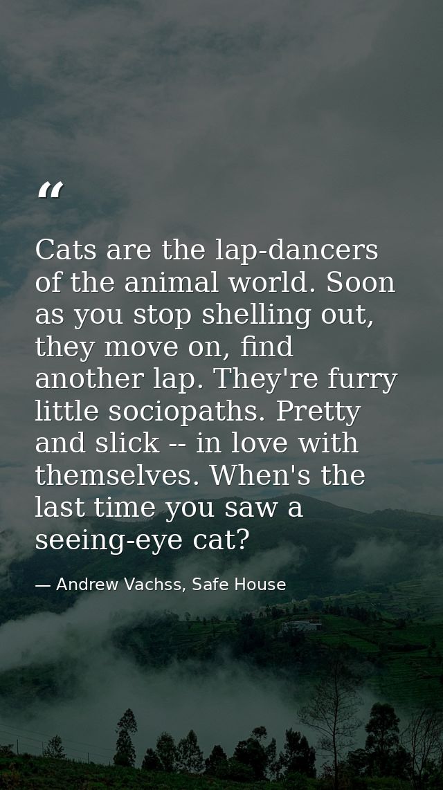 Cats are the lap-dancers of the animal world. Soon as you stop shelling out, they move on, find another lap. They're fur — Andrew Vachss, Safe House