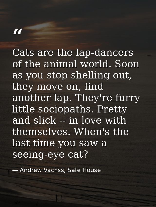 Cats are the lap-dancers of the animal world. Soon as you stop shelling out, they move on, find another lap. They're fur — Andrew Vachss, Safe House