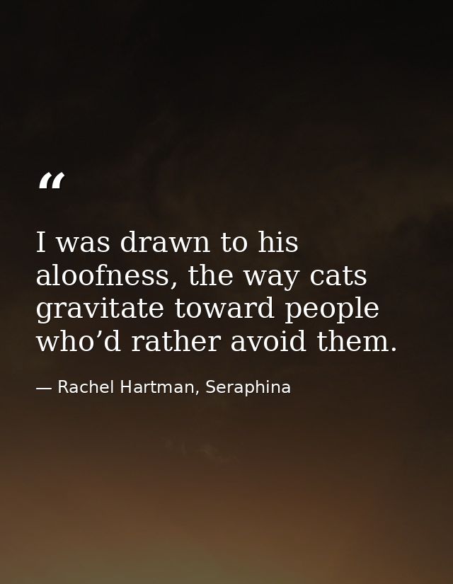 I was drawn to his aloofness, the way cats gravitate toward people who’d rather avoid them. — Rachel Hartman, Seraphina