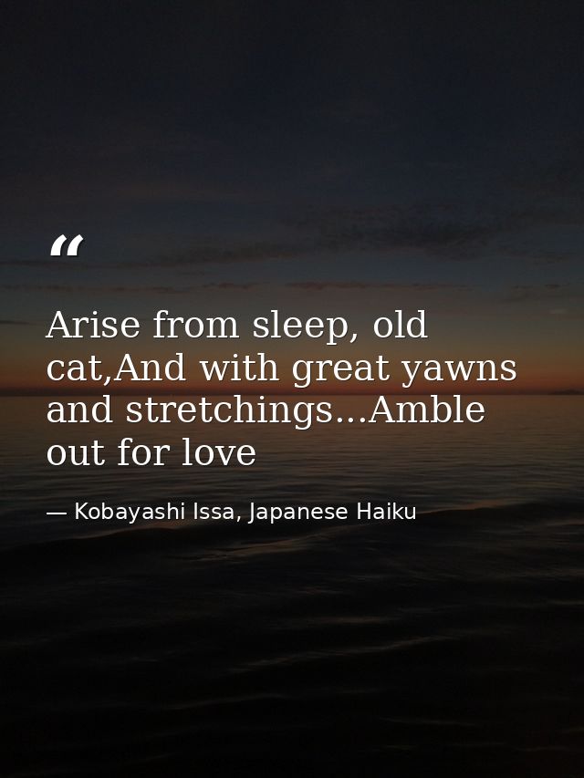 Arise from sleep, old cat,And with great yawns and stretchings...Amble out for love — Kobayashi Issa, Japanese Haiku