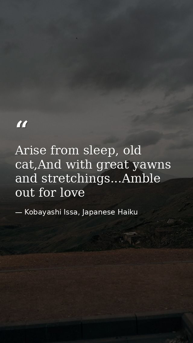 Arise from sleep, old cat,And with great yawns and stretchings...Amble out for love — Kobayashi Issa, Japanese Haiku
