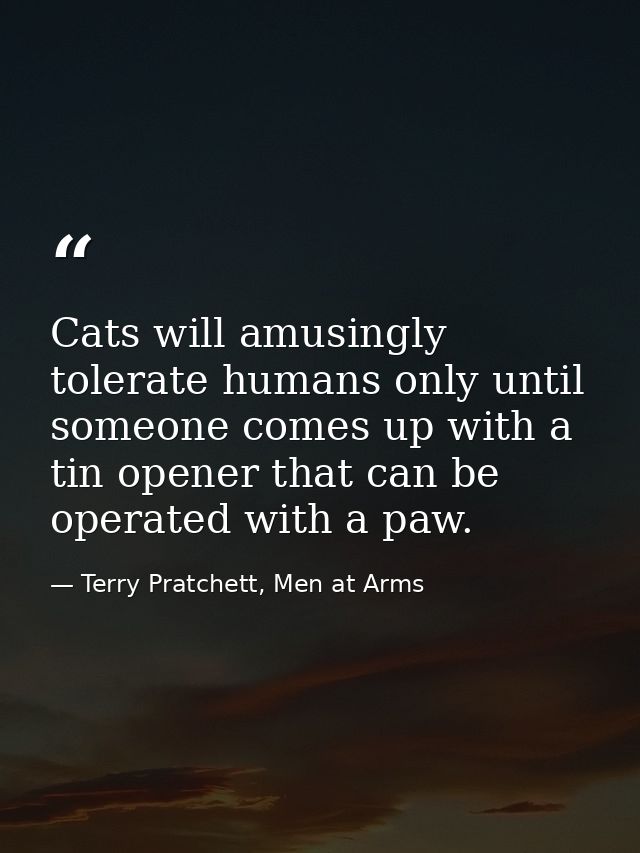 Cats will amusingly tolerate humans only until someone comes up with a tin opener that can be operated with a paw. — Terry Pratchett, Men at Arms