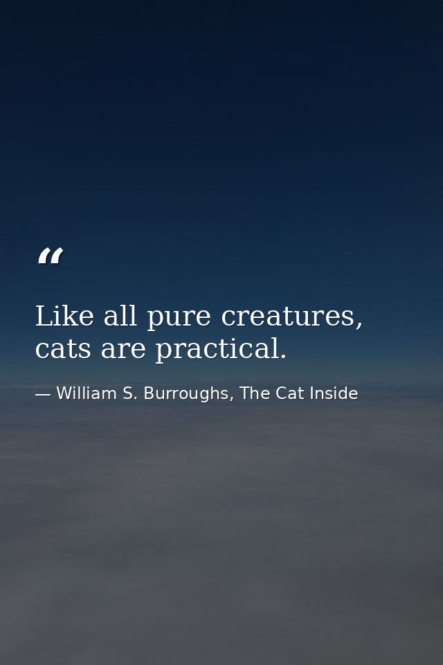 Like all pure creatures, cats are practical. — William S. Burroughs, The Cat Inside