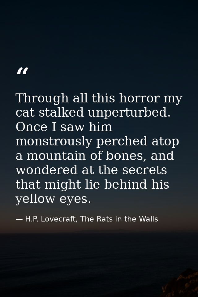 Through all this horror my cat stalked unperturbed. Once I saw him monstrously perched atop a mountain of bones, and won — H.P. Lovecraft, The Rats in the Walls