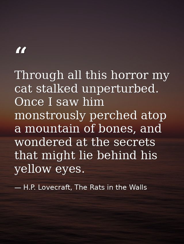 Through all this horror my cat stalked unperturbed. Once I saw him monstrously perched atop a mountain of bones, and won — H.P. Lovecraft, The Rats in the Walls