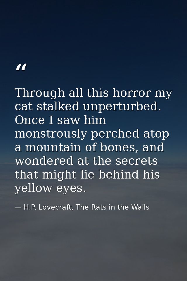 Through all this horror my cat stalked unperturbed. Once I saw him monstrously perched atop a mountain of bones, and won — H.P. Lovecraft, The Rats in the Walls