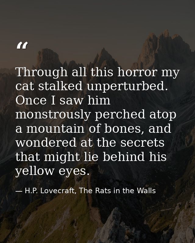 Through all this horror my cat stalked unperturbed. Once I saw him monstrously perched atop a mountain of bones, and won — H.P. Lovecraft, The Rats in the Walls