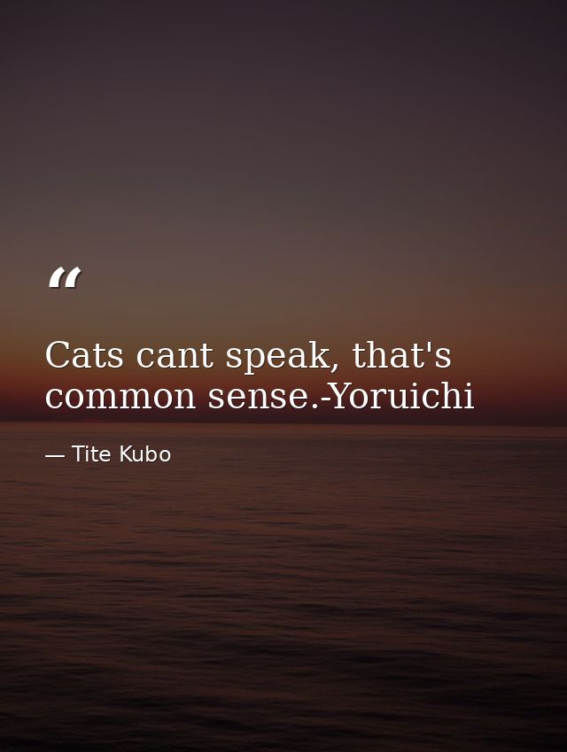 Cats cant speak, that's common sense.-Yoruichi — Tite Kubo