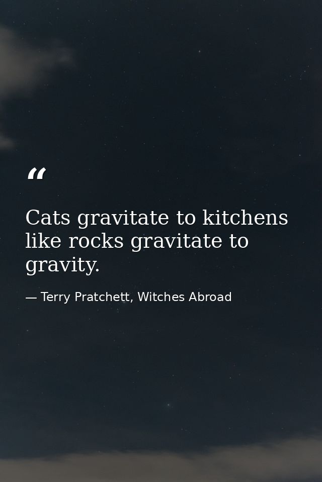 Cats gravitate to kitchens like rocks gravitate to gravity. — Terry Pratchett, Witches Abroad