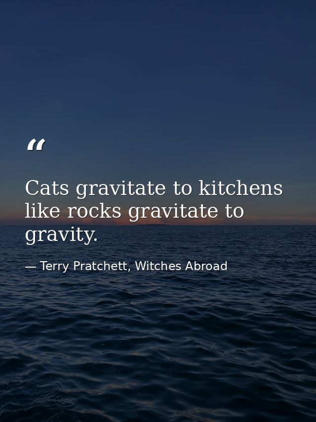 Cats gravitate to kitchens like rocks gravitate to gravity. — Terry Pratchett, Witches Abroad