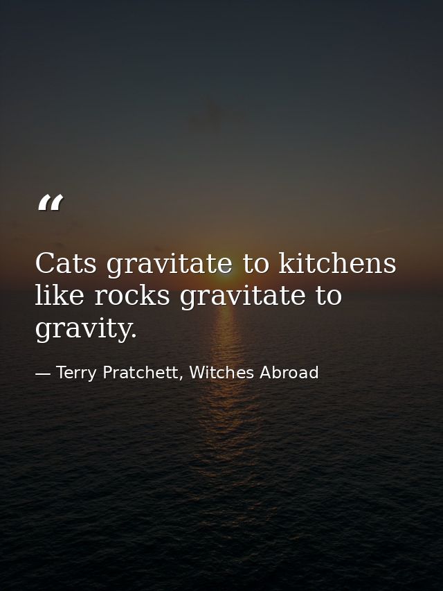 Cats gravitate to kitchens like rocks gravitate to gravity. — Terry Pratchett, Witches Abroad