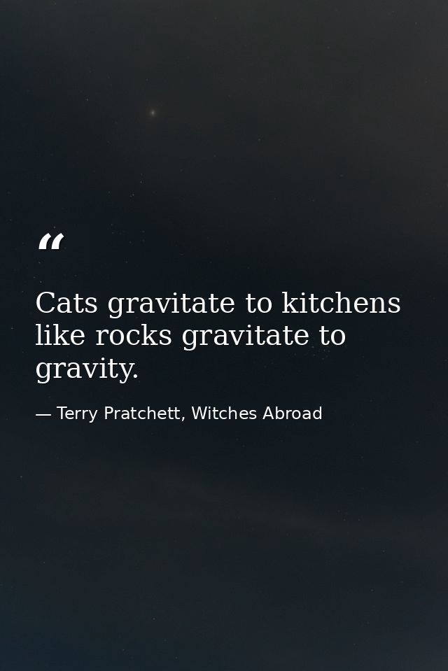 Cats gravitate to kitchens like rocks gravitate to gravity. — Terry Pratchett, Witches Abroad