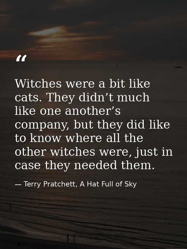 Witches were a bit like cats. They didn’t much like one another’s company, but they did like to know where all the other — Terry Pratchett, A Hat Full of Sky