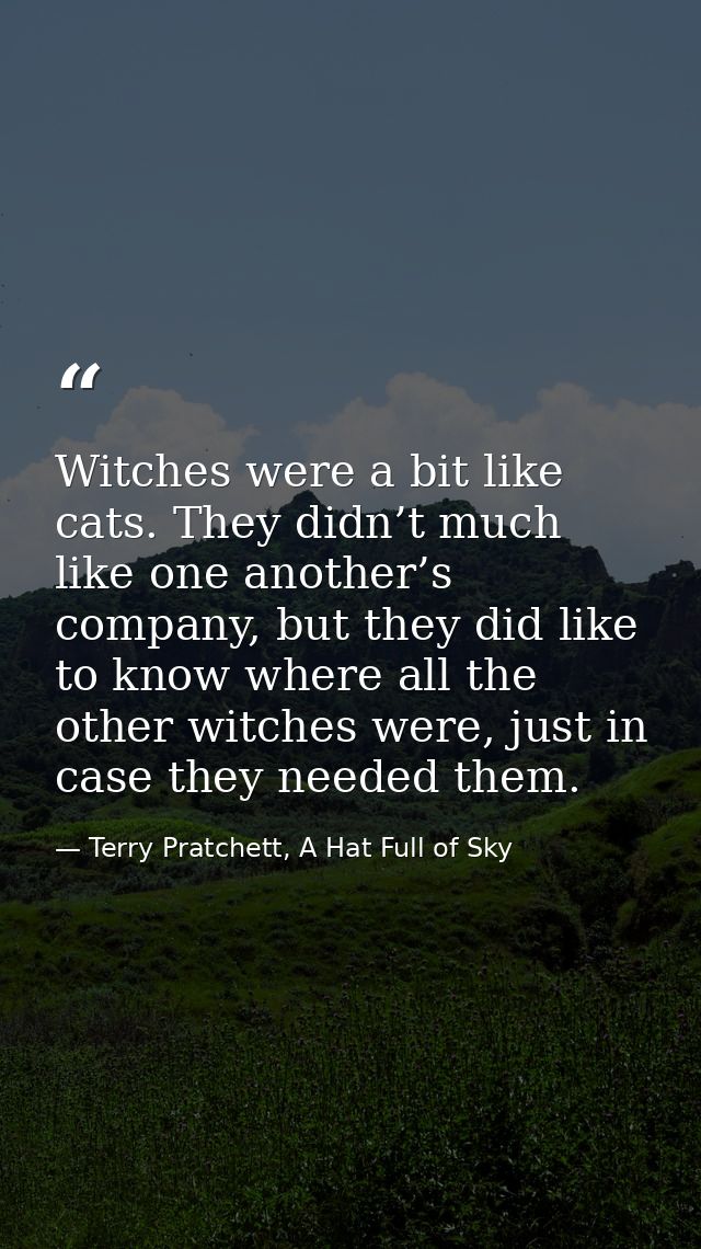 Witches were a bit like cats. They didn’t much like one another’s company, but they did like to know where all the other — Terry Pratchett, A Hat Full of Sky