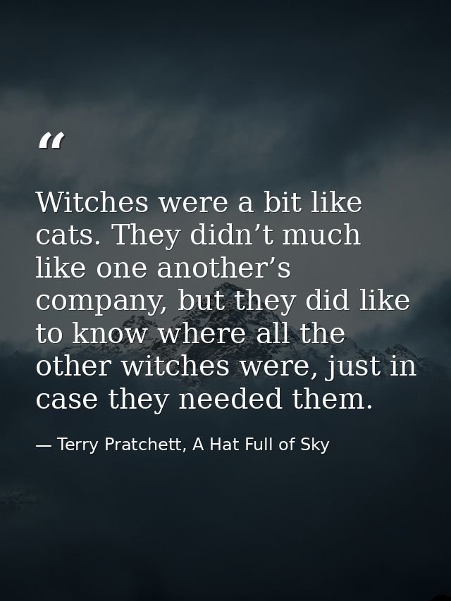 Witches were a bit like cats. They didn’t much like one another’s company, but they did like to know where all the other — Terry Pratchett, A Hat Full of Sky