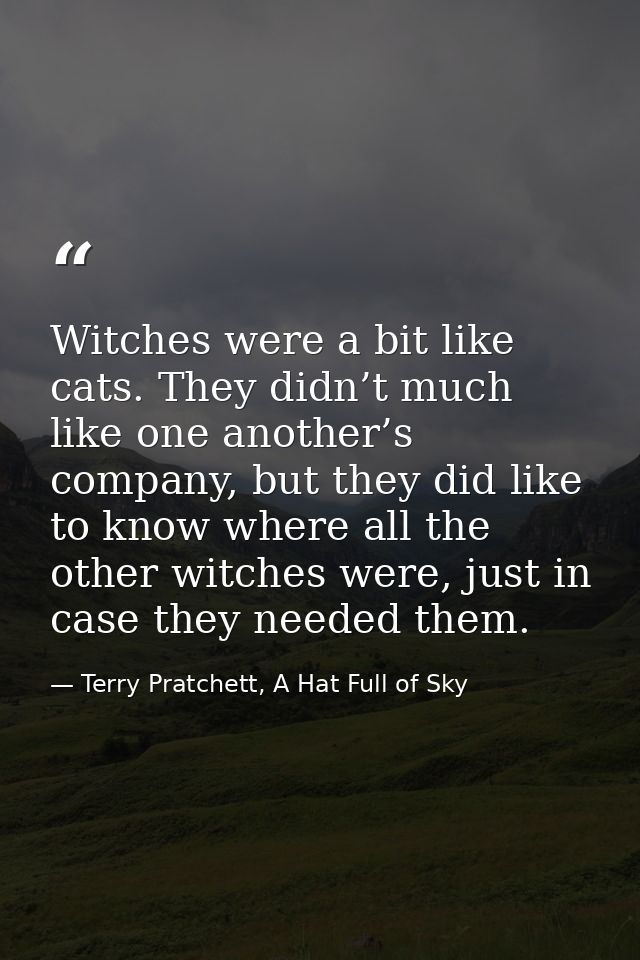 Witches were a bit like cats. They didn’t much like one another’s company, but they did like to know where all the other — Terry Pratchett, A Hat Full of Sky