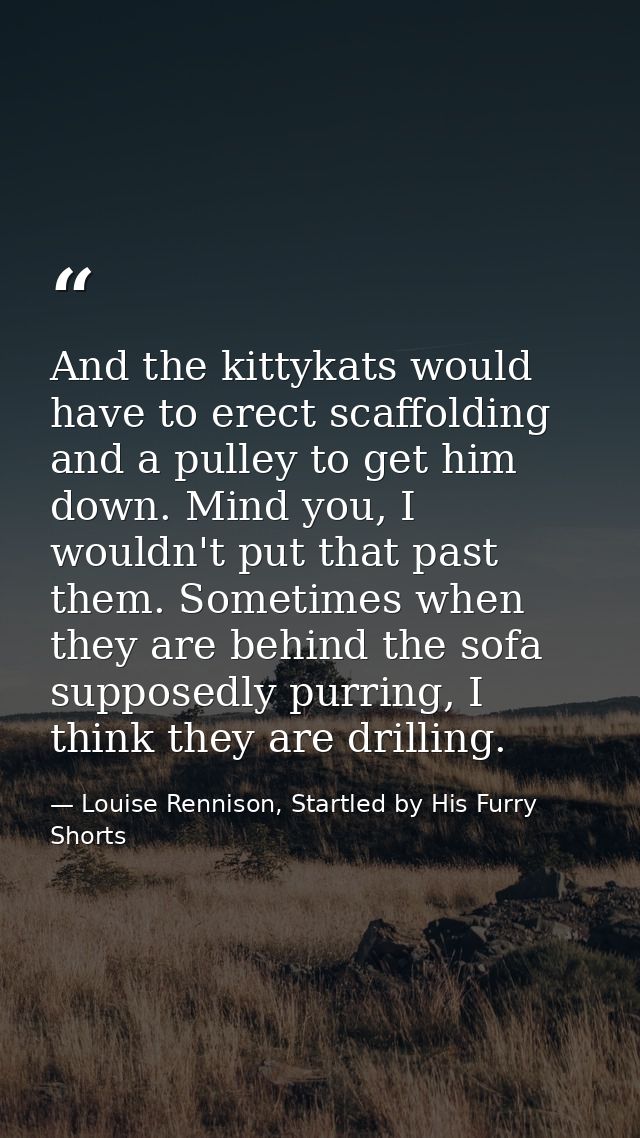 And the kittykats would have to erect scaffolding and a pulley to get him down. Mind you, I wouldn't put that past them. — Louise Rennison, Startled by His Furry Shorts