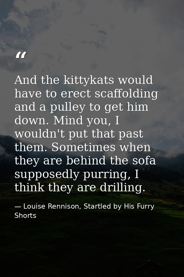And the kittykats would have to erect scaffolding and a pulley to get him down. Mind you, I wouldn't put that past them. — Louise Rennison, Startled by His Furry Shorts