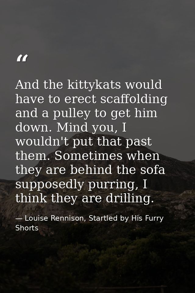 And the kittykats would have to erect scaffolding and a pulley to get him down. Mind you, I wouldn't put that past them. — Louise Rennison, Startled by His Furry Shorts