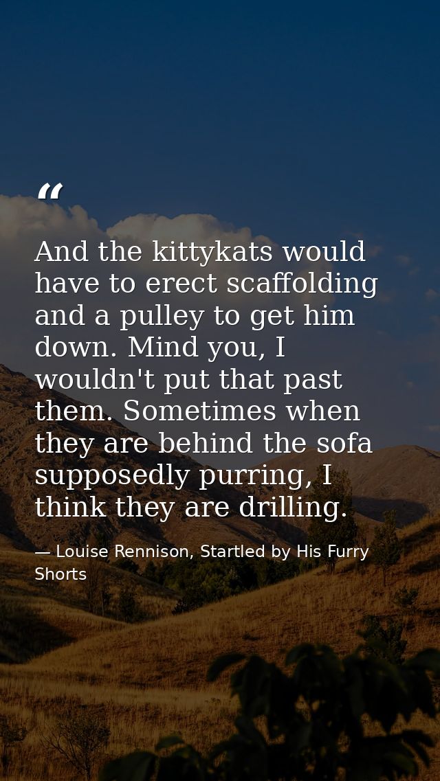 And the kittykats would have to erect scaffolding and a pulley to get him down. Mind you, I wouldn't put that past them. — Louise Rennison, Startled by His Furry Shorts