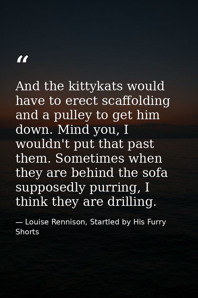 And the kittykats would have to erect scaffolding and a pulley to get him down. Mind you, I wouldn't put that past them. — Louise Rennison, Startled by His Furry Shorts