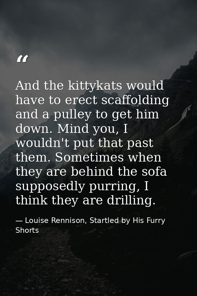 And the kittykats would have to erect scaffolding and a pulley to get him down. Mind you, I wouldn't put that past them. — Louise Rennison, Startled by His Furry Shorts